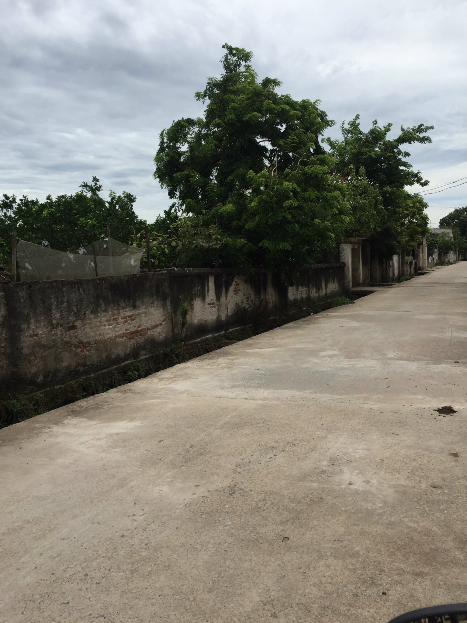 Bán mảnh đất xóm 2 xã Chương Dương-Thường Tín-Hà Nội 11880358