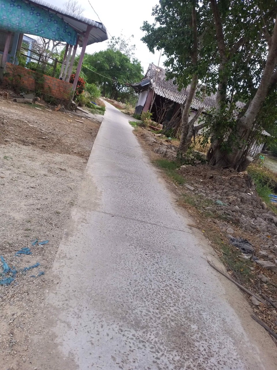 CHÍNH CHỦ CẦN BÁN 20 CÔNG RUỘNG, ẤP CÔNG NGHIỆP, XÃ KHÁNH HƯNG, HUYỆN TRẦN VĂN THỜI, TP CÀ MAU. 11775595