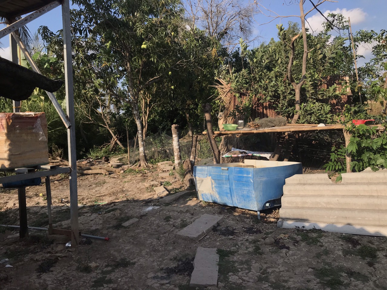 CHÍNH CHỦ CẦN BÁN 20 CÔNG RUỘNG, ẤP CÔNG NGHIỆP, XÃ KHÁNH HƯNG, HUYỆN TRẦN VĂN THỜI, TP CÀ MAU. 11775595