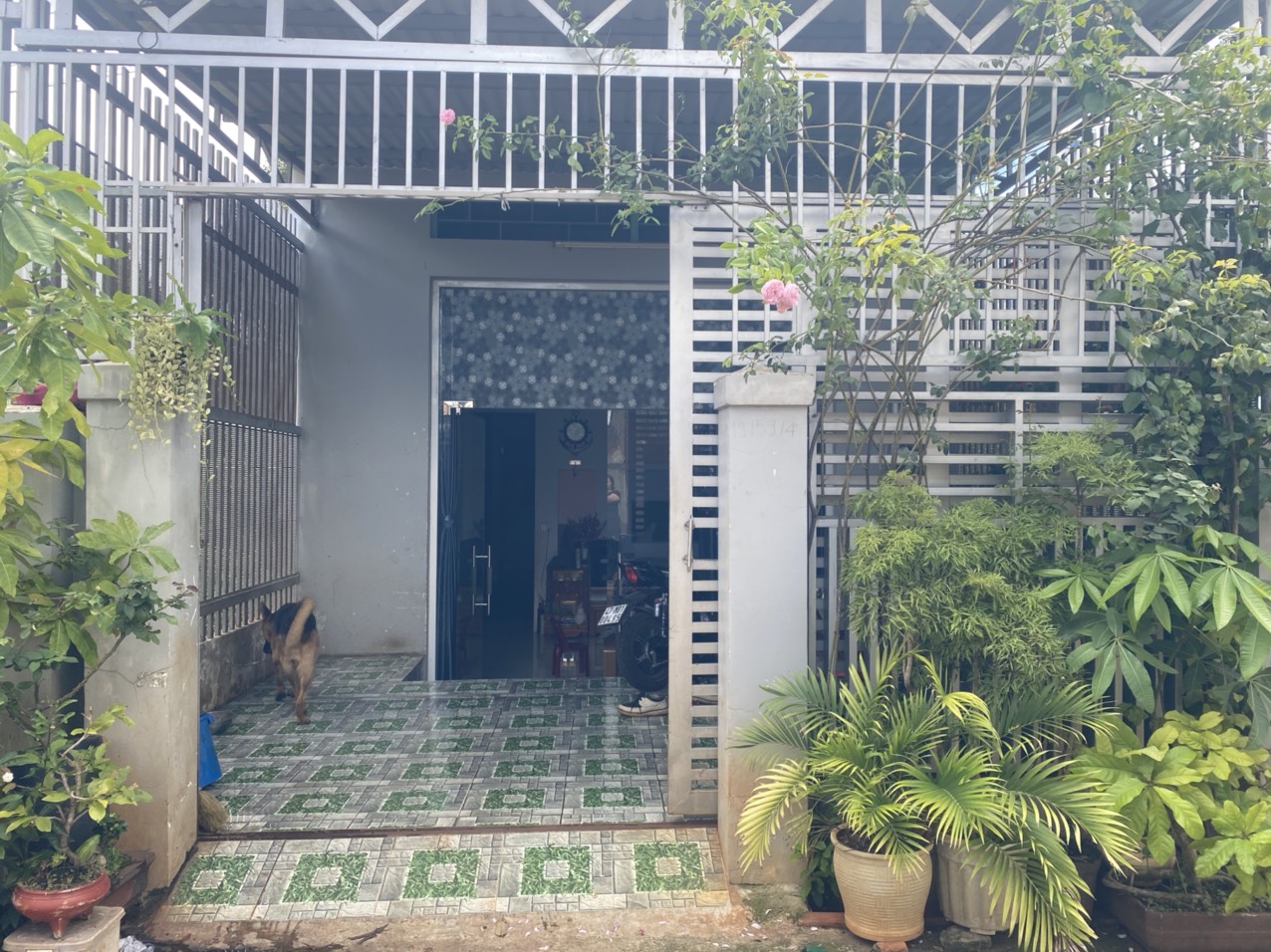 CHÍNH CHỦ CẦN BÁN NHÀ TẠI ĐƯỜNG GIẢI PHÓNG – P. TÂN LỢI – TP BUÔN MA THUỘT. LIÊN HỆ: 0948.826.779 11785101