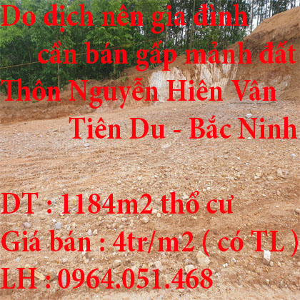 Do dịch nên gia đình cần bán gấp mảnh đất diện tích 1184m2 tại Thôn Nguyễn Hiên Vân -Tiên Du -Bắc 11810969