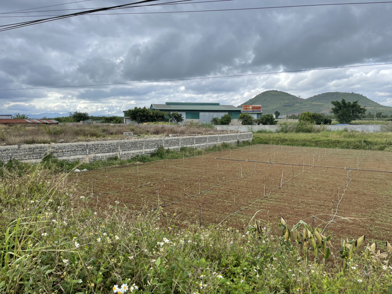 B21. CẦN BÁN LÔ ĐẤT MẶT TIỀN ĐT 724. 16M X 34M =544M2, CÓ 100M2 ĐẤT Ở. Đ/C: XÃ PHÚ HỘI, HUYỆN ĐỨC 11845193