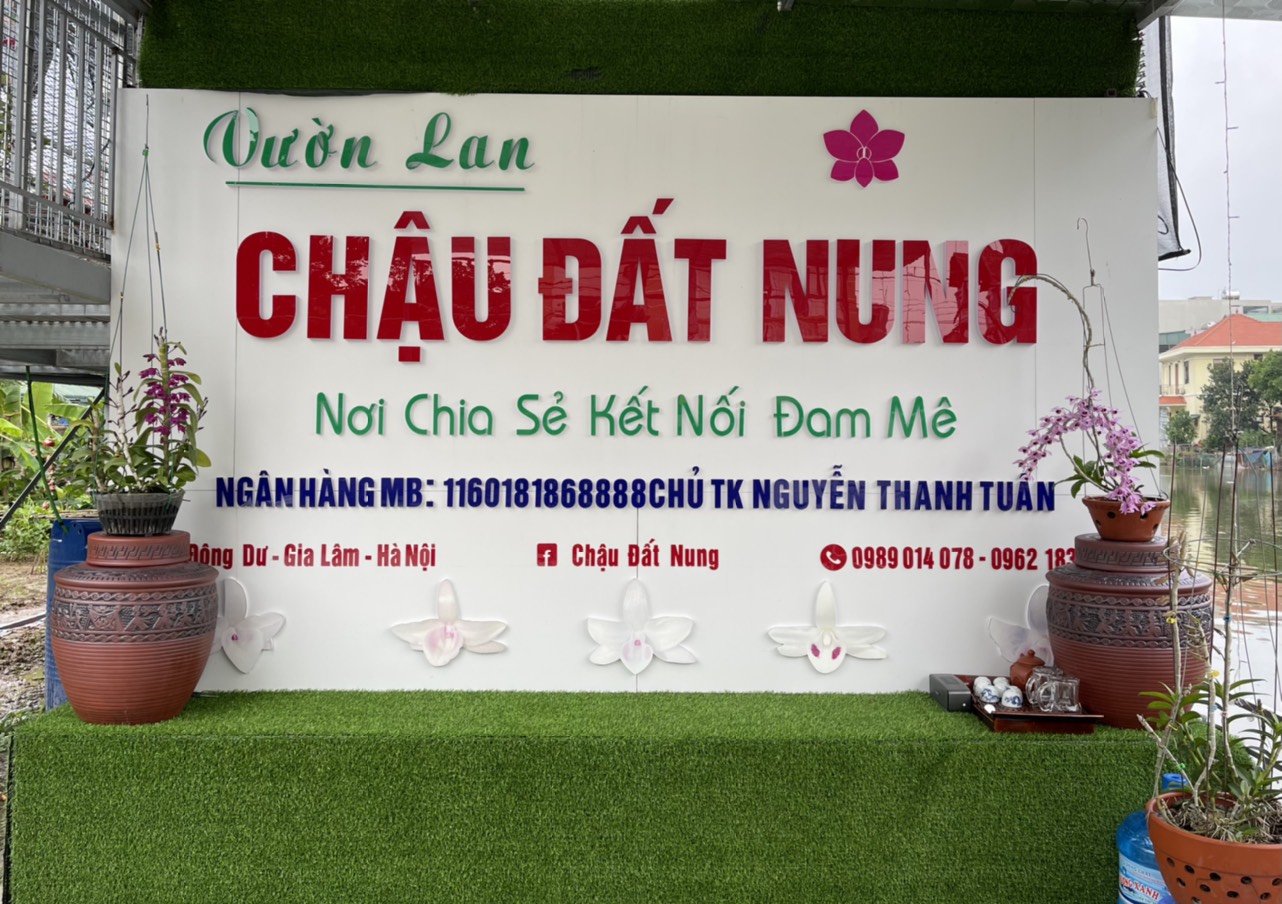 VƯỜN LAN CHẬU ĐẤT NUNG 11888703