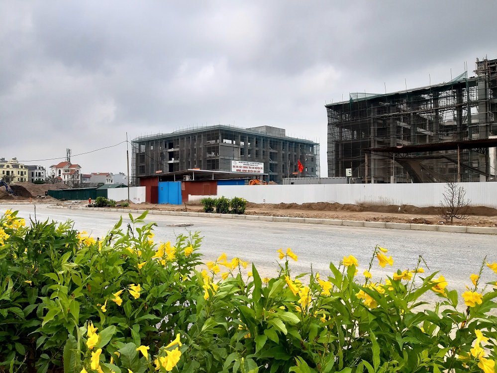 123m2 đất khu đấu giá 31ha, Trâu Quỳ, Gia Lâm, Hà Nội. Mt 7m. Đường 15m. Lh 0989894845. 11930617