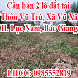 Có 2 lô đất cần bán tại địa chỉ Thôn Vũ Trù, Xã Vũ Xã, Huyện Lục Nam, Tỉnh Bắc Giang 11972099