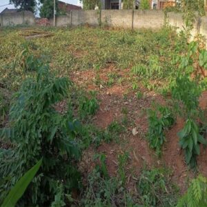 Có 2 lô đất cần bán tại địa chỉ Thôn Vũ Trù, Xã Vũ Xã, Huyện Lục Nam, Tỉnh Bắc Giang 11972099