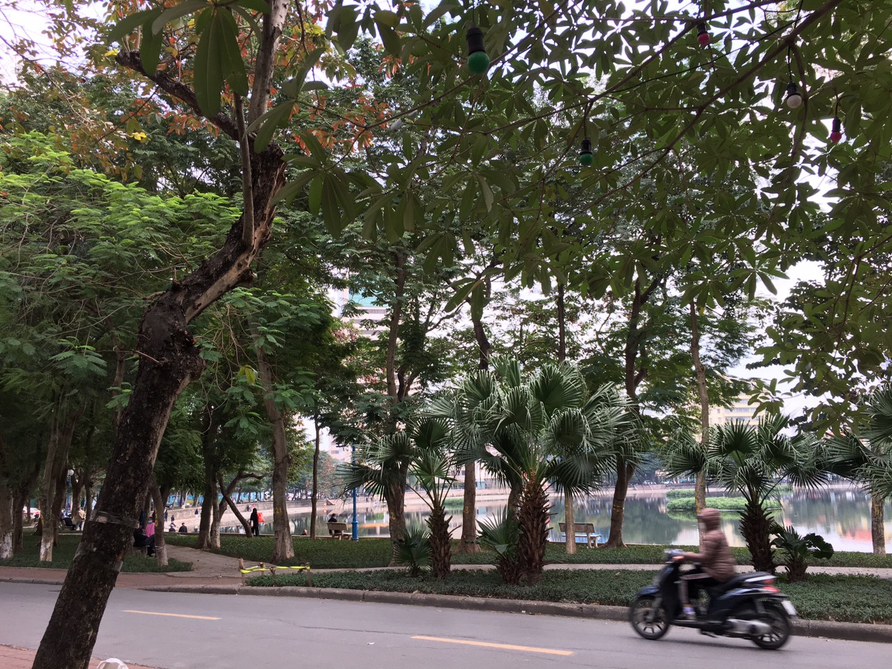 Bán nhà tầng 1 mặt phố Trần Huy Liệu – Giảng võ, kinh doanh ăn uống, DTSD 150m2, 8.9 tỷ 12243802