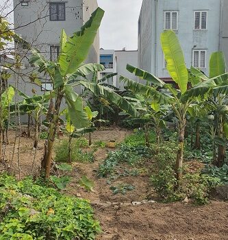 Chính chủ bán đất tại Khu Đô Thị Tân Phố Hiến, TP. Hưng Yên 12265154