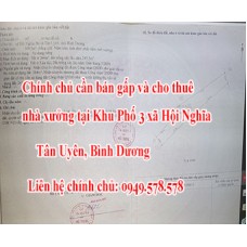 Chính chủ cần bán gấp và cho thuê nhà xưởng tại Khu Phố 3 xã Hội Nghĩa, Tân Uyên, Bình Dương. 12265779