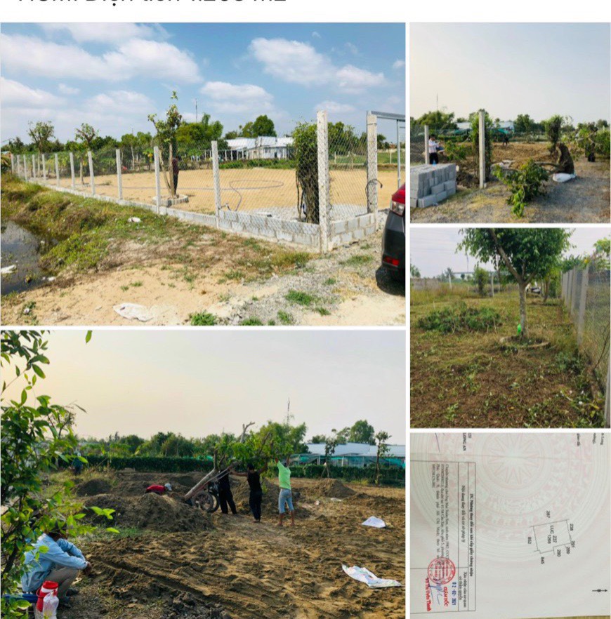 Chính Chủ Cần Bán Lô Đất Khu Phố Hòa Thuận 2 , Thị Trấn Cần Giuộc , Huyện Cần Giuộc , Tỉnh Long An 12270629