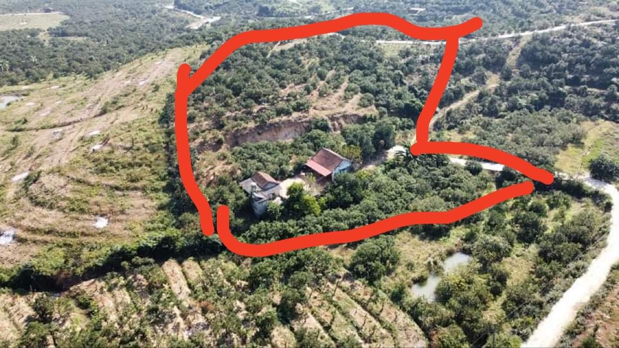 CẦN BÁN 2 LÔ ĐẤT LỤC NGẠN - BẮC GIANG 12270758