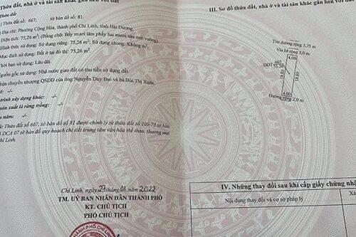 CHÍNH CHỦ CẦN THANH KHOẢN 01 LÔ ĐẤT KHU ĐÔ THỊ TRƯỜNG LINH 12274521