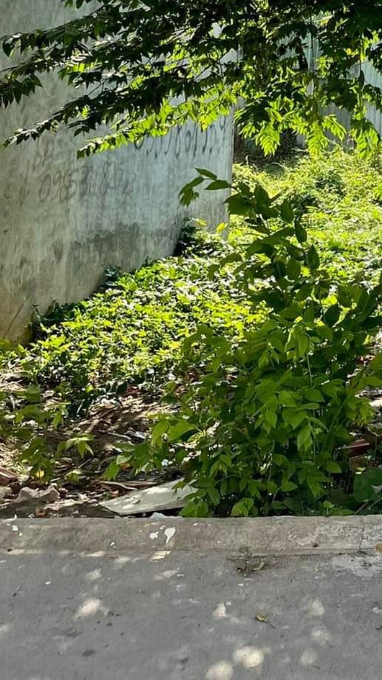 BÁN ĐẤT, BÌNH CHIỂU, THỦ ĐỨC: NGÔ CHÍ QUỐC: 12280079