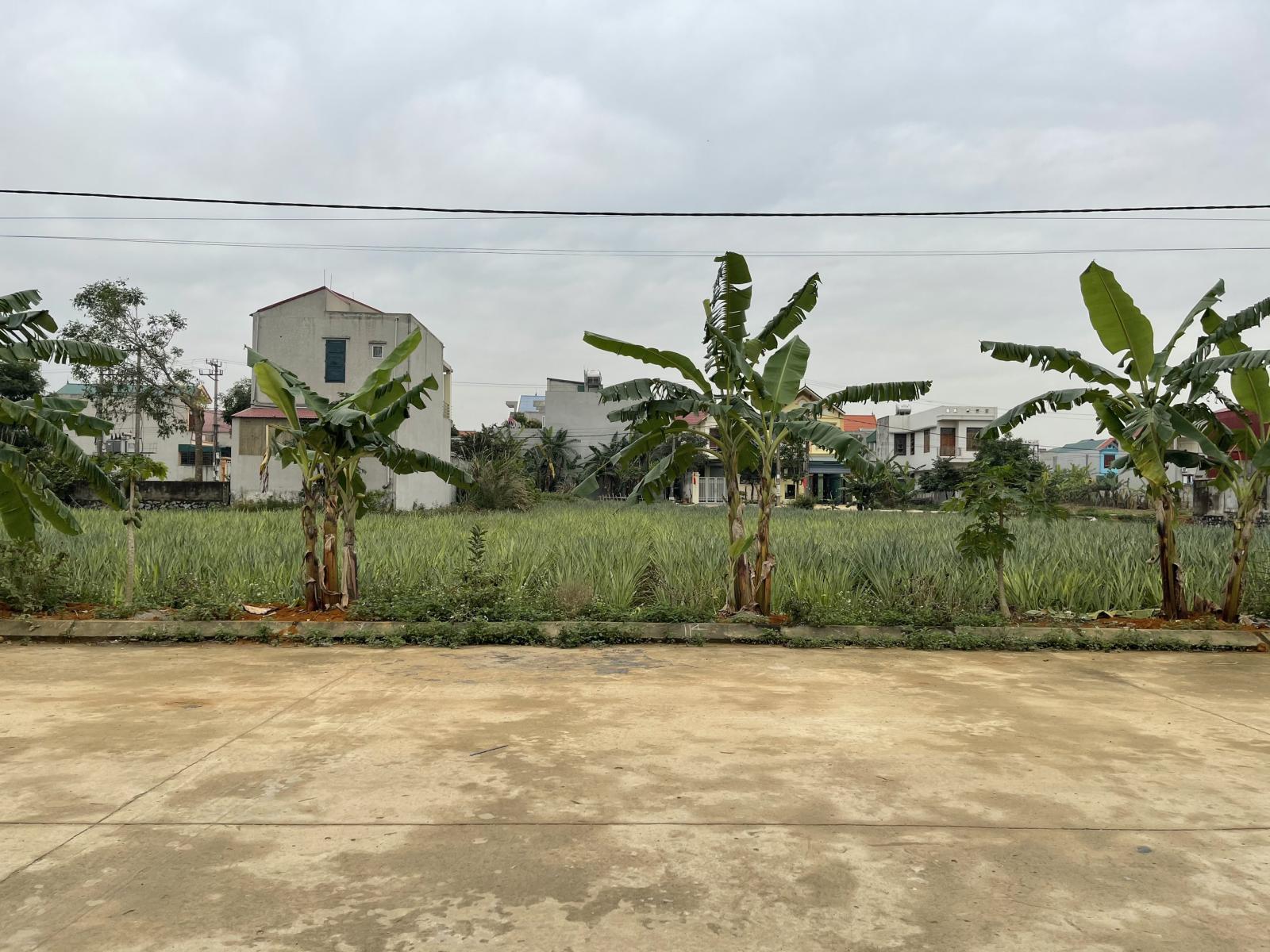 CHỦ CẦN BÁN 2 LÔ LK MẶT ĐƯỜNG TRẦN HƯNG ĐẠO, DÃY 12 TỔ 18, P. BẮC SƠN, TP TAM ĐIỆP - NINH BÌNH 12286009