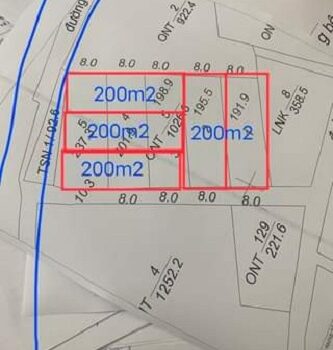 CHÍNH CHỦ CẦN BÁN ĐẤT TẠI THÁI ĐÀO, LẠNG GIANG, BẮC GIANG 12288115