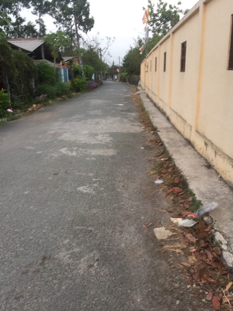 Chính chủ cần bán 5000 m2 đất 12298419