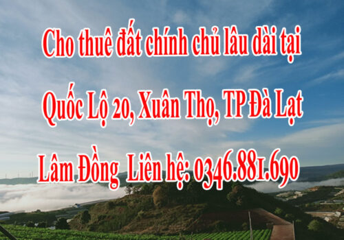 Cần cho thuê đất chính chủ lâu dài tại: Quốc Lộ 20, Xuân Thọ, TP Đà Lạt, Lâm Đồng 12313163