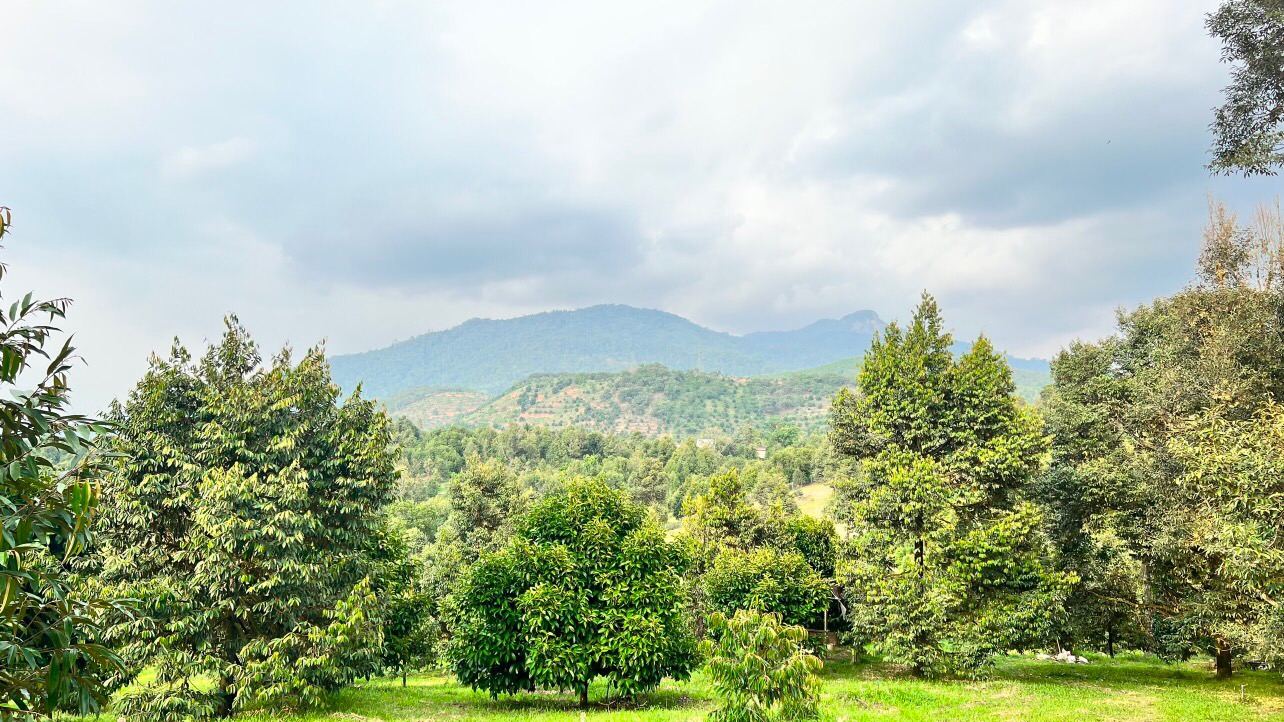 Cần ra lô đất toạ lạc tại xã Hà Lâm huyện Đạ Huoai tỉnh Lâm Đồng 12318550