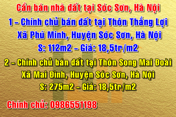 Chính chủ bán đất tại Thôn Thắng Lợi, Xã Phú Minh, Sóc Sơn, Hà Nội 12324937