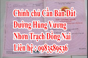 Chính Chủ Cần Bán Đất 1/ Đường Hùng Vương Nhơn Trạch Đồng Nai 12327851