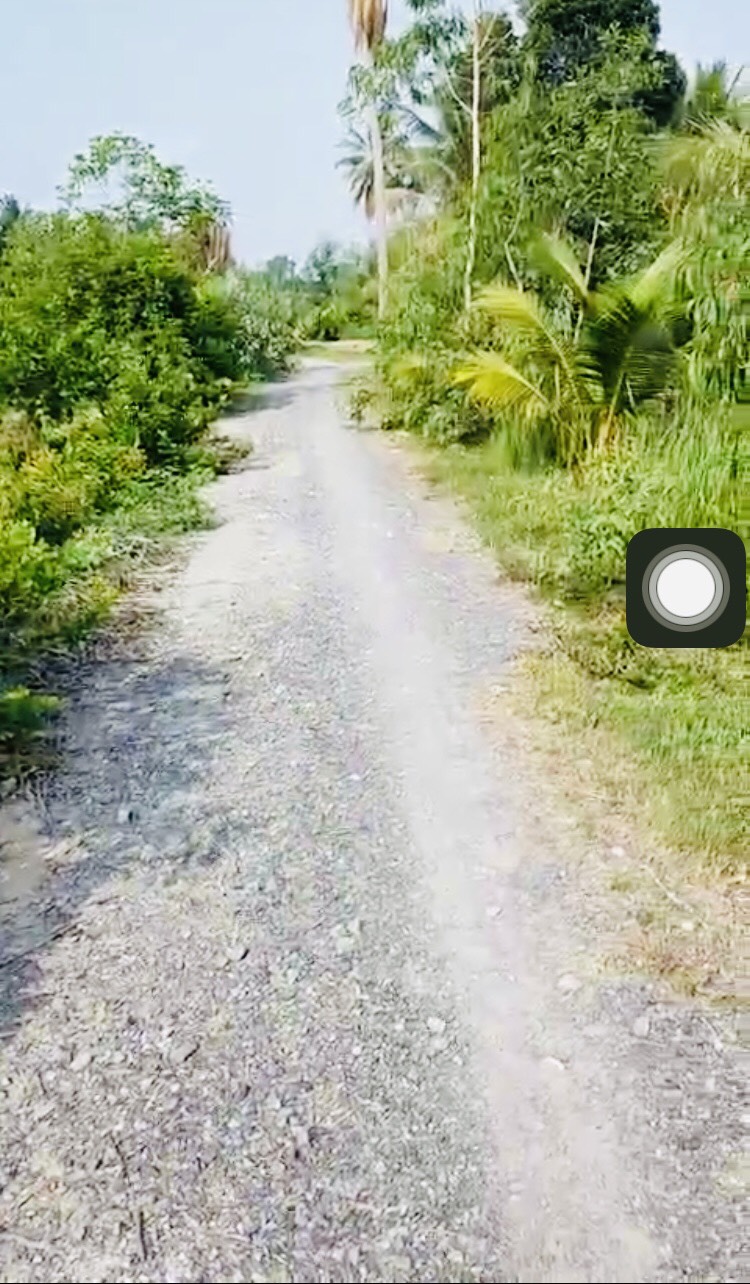 560tr rẻ nhất Hựu Thạnh Đức Hòa Long An hàng đầu tư Hot nhất rẻ nhất đường đá 4m chuẩn bị lên bên 12331454