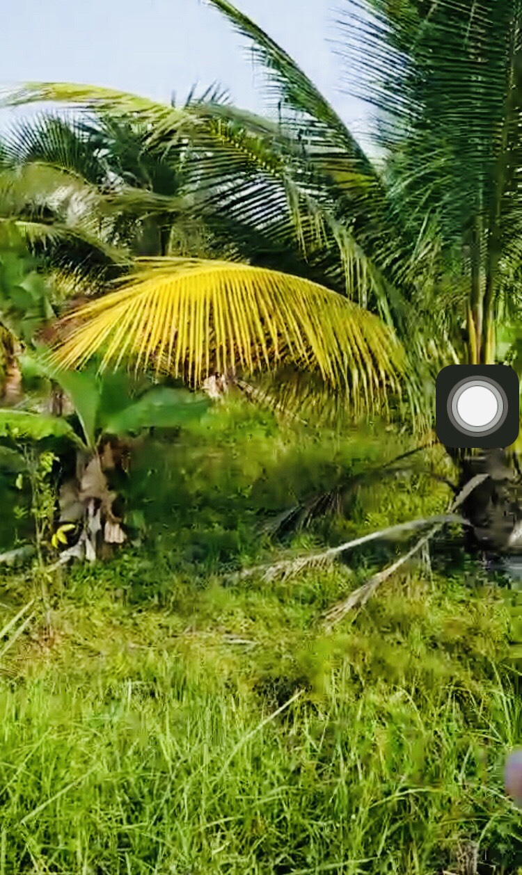 560tr rẻ nhất Hựu Thạnh Đức Hòa Long An hàng đầu tư Hot nhất rẻ nhất đường đá 4m chuẩn bị lên bên 12331454