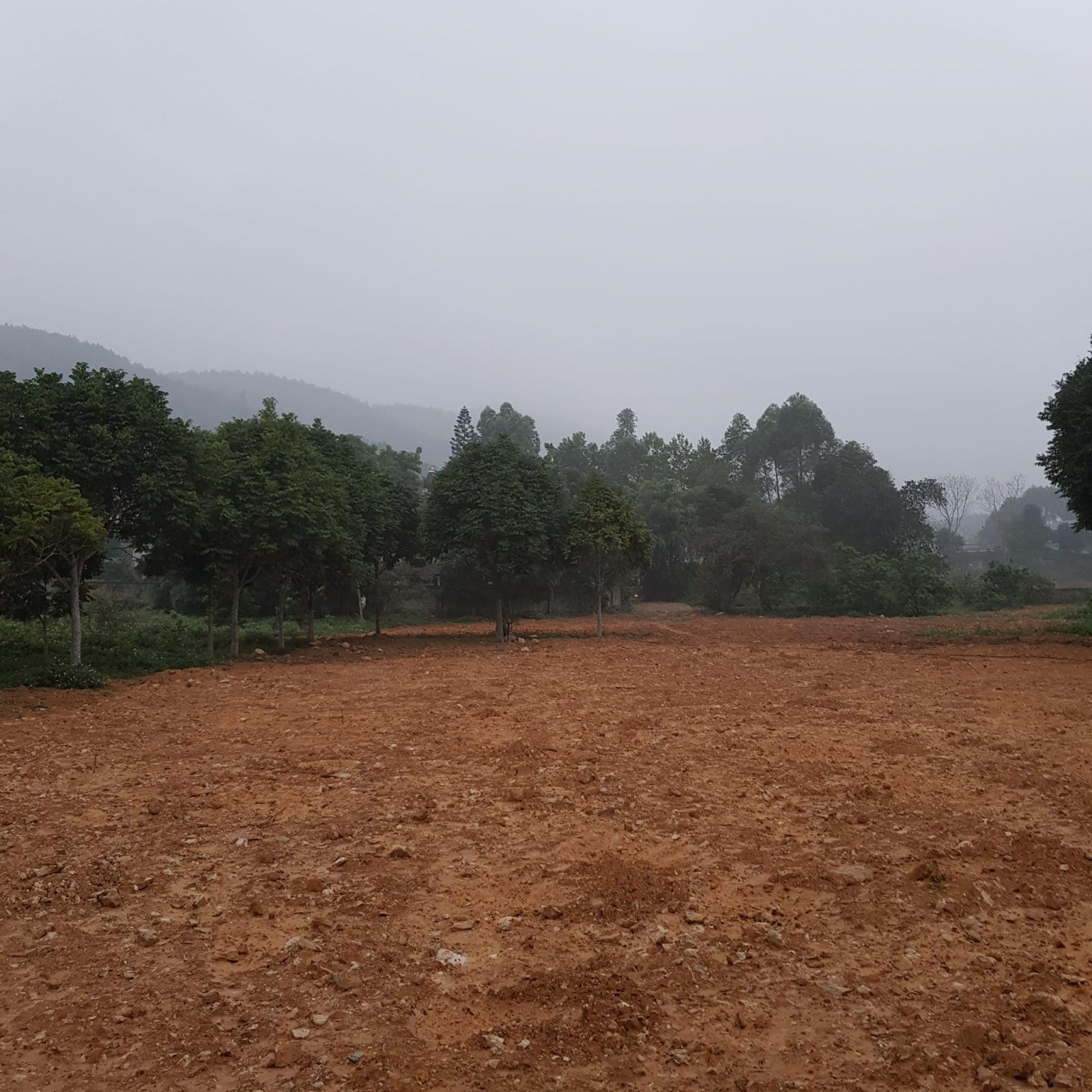 Bán đất view hồ Vai Vịt, Thanh Sơn, Phú Thọ DT 5653m2, 400m thổ cư. 12331892