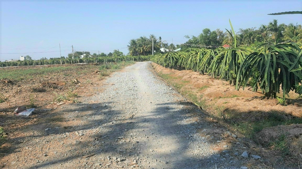 49 tỷ diện tích 9848.7m2 mặt tiền đường đồng tranh Phú Quốc Kiêng giang chính chủ 12335821