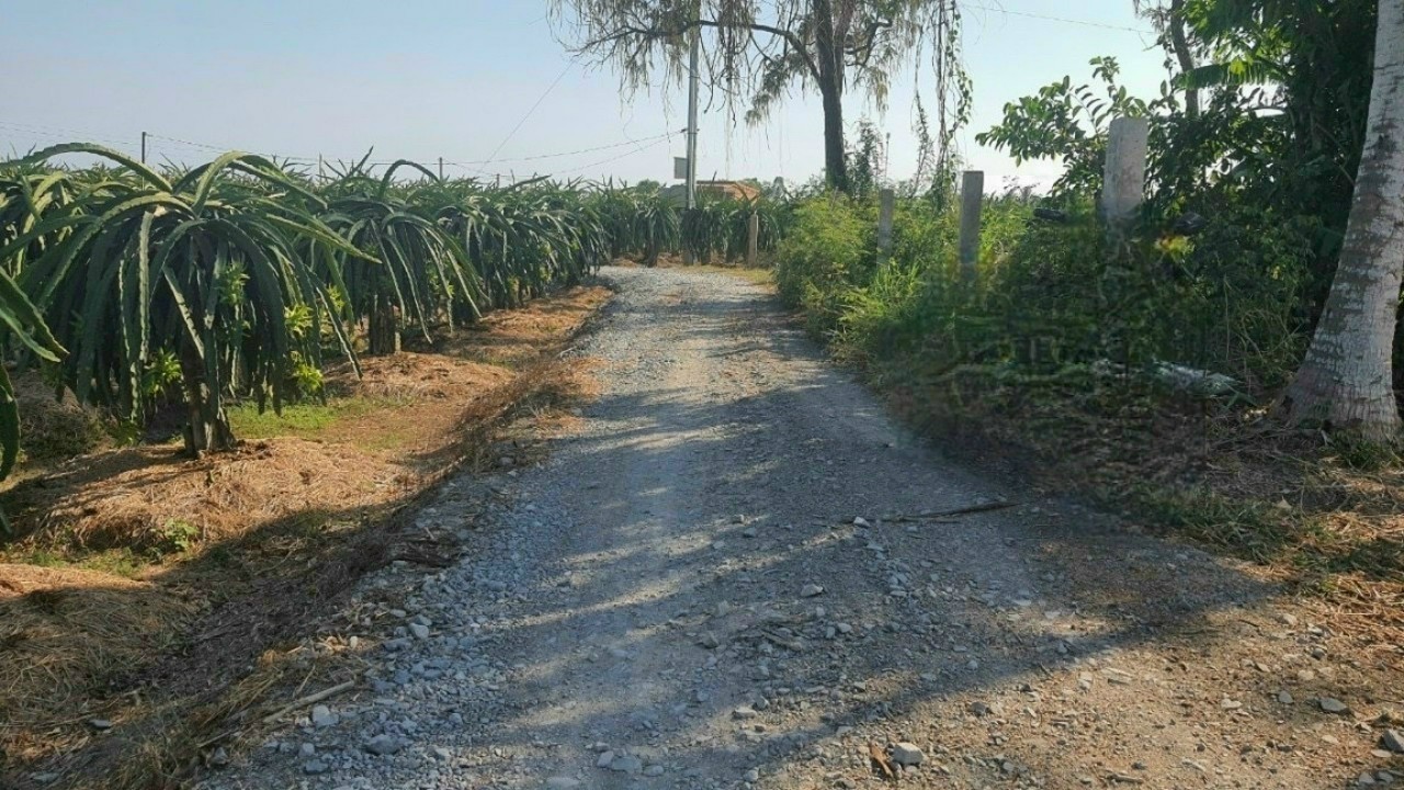 49 tỷ diện tích 9848.7m2 mặt tiền đường đồng tranh Phú Quốc Kiêng giang chính chủ 12335821