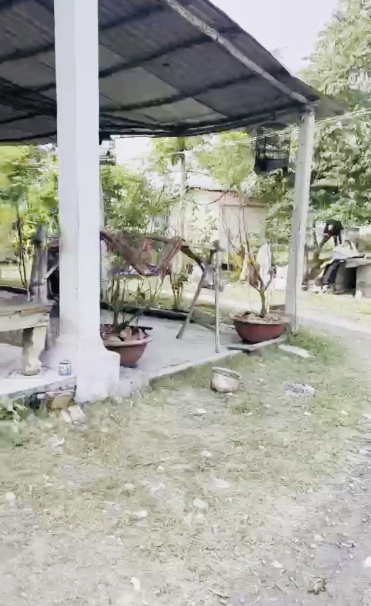 780 triệu đức hòa thượng long an 90m2 thổ cư đường đá xanh 3m có 2 lô liền kề giá đầu tư 12335929