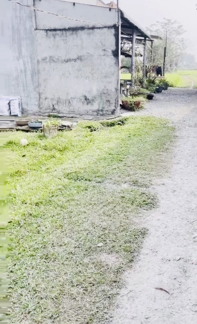 780 triệu đức hòa thượng long an 90m2 thổ cư đường đá xanh 3m có 2 lô liền kề giá đầu tư 12335929