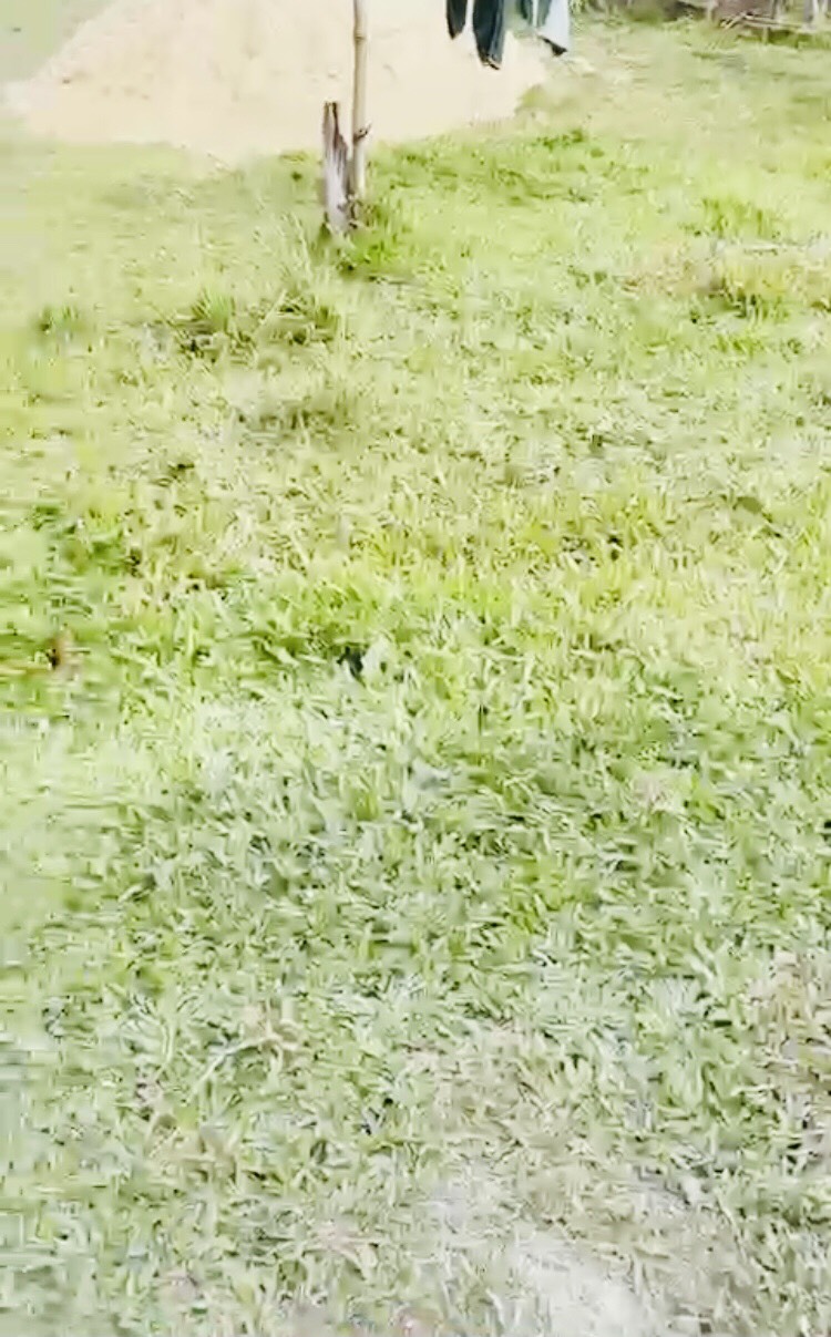 780 triệu đức hòa thượng long an 90m2 thổ cư đường đá xanh 3m có 2 lô liền kề giá đầu tư 12335929