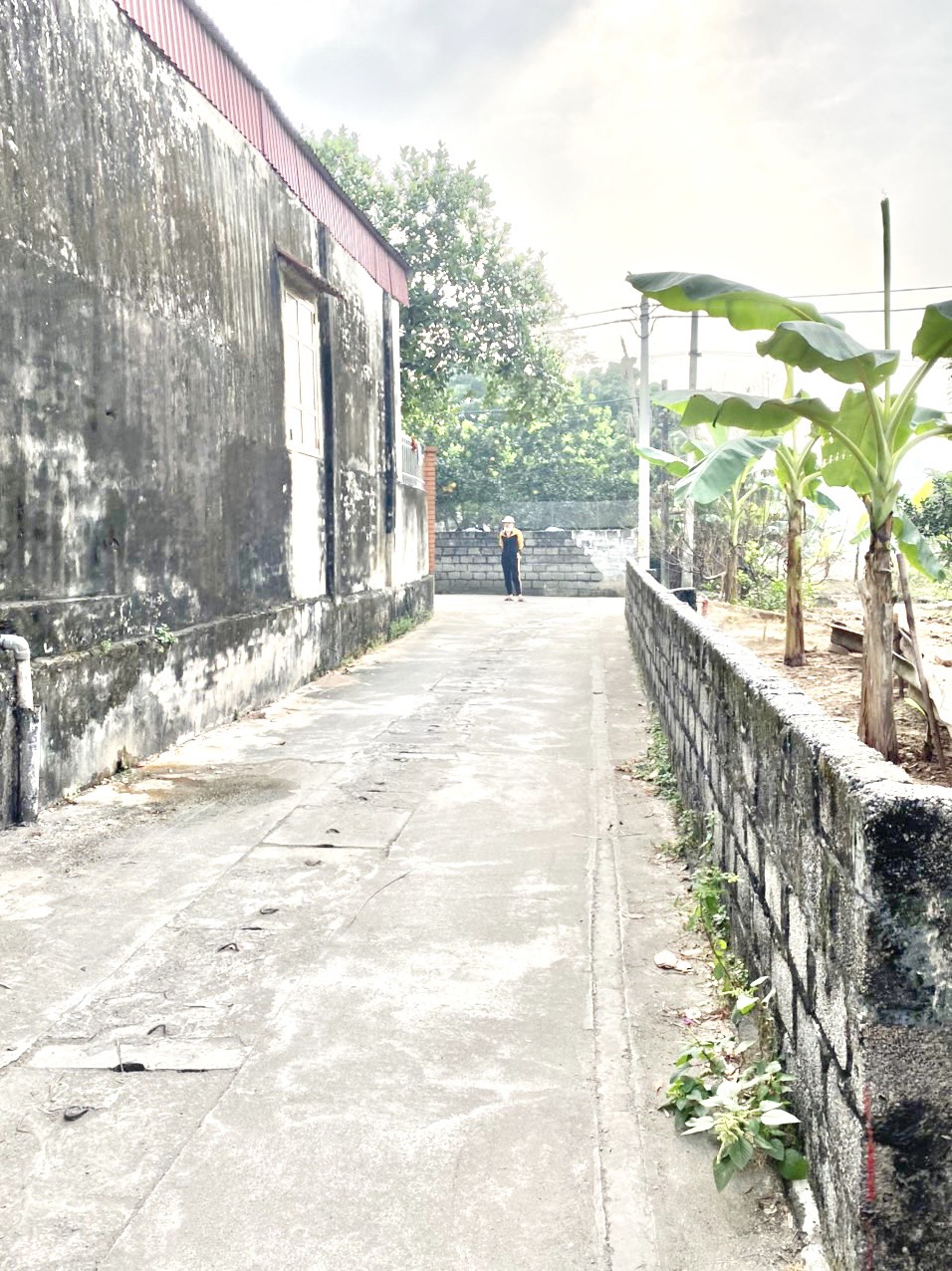 Hottt!!! Cần bán 2 lô liền kề (80m2 một lô) đất Ứng Hoà, Phúc Tiến, Phú Xuyên 12338631