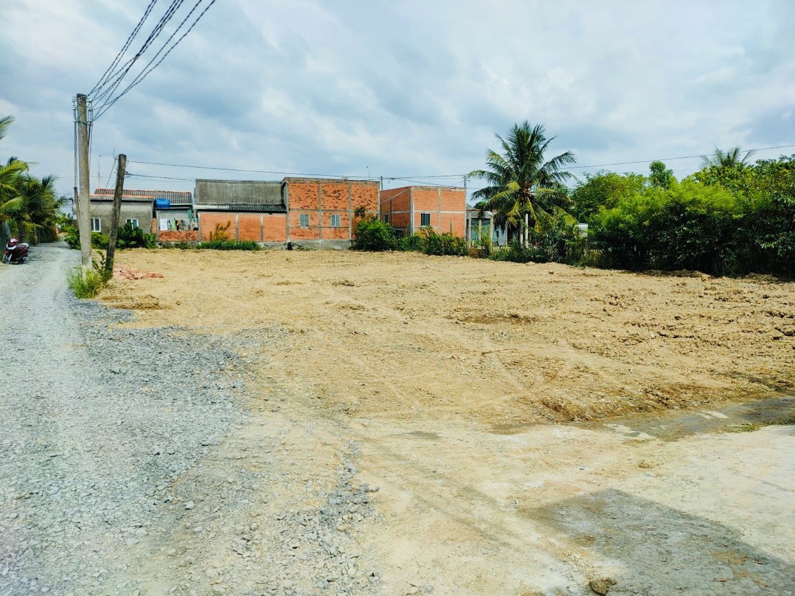 650tr lô hàng đầu tư tại Đức tân - Tân Trụ - Long An ngay DT833 12338982