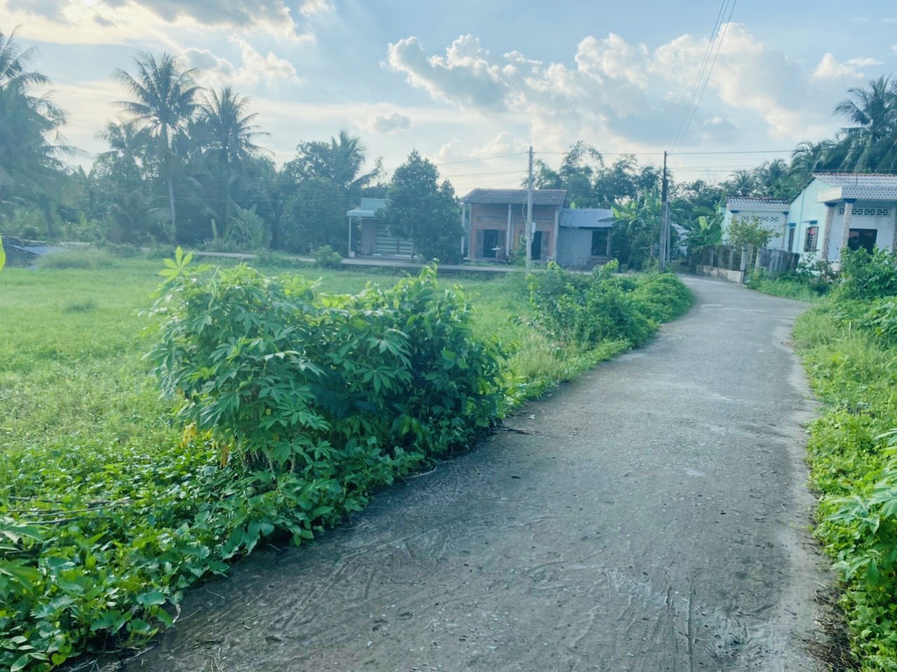 380tr-Đất vườn ngang 5 dài 32 tại Đức Tân -Tân trụ - Long An 12338999