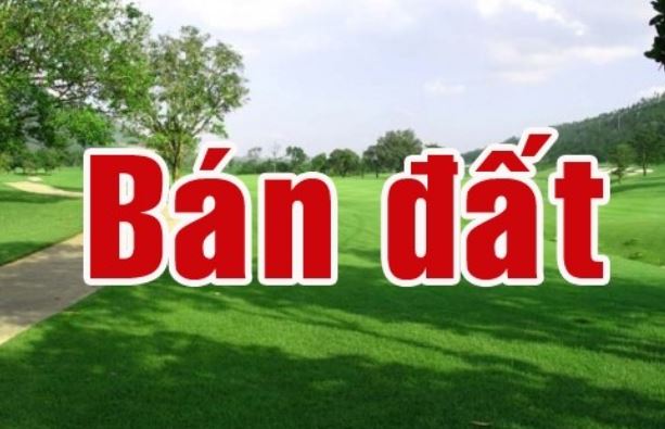 250 tỷ 2042m2 đất đường trần não quận 2 hồ chí minh 12348778