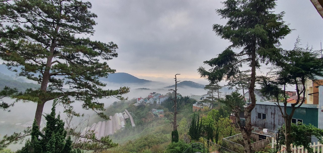 CẦN BÁN BIỆT THỰ KINH DOANH VIEW THUNG LŨNG THÔNG CỰC ĐẸP,ĐƯỜNG HOÀNG HOA THÁM ,PHƯỜNG 10, TP ĐÀ 12352240