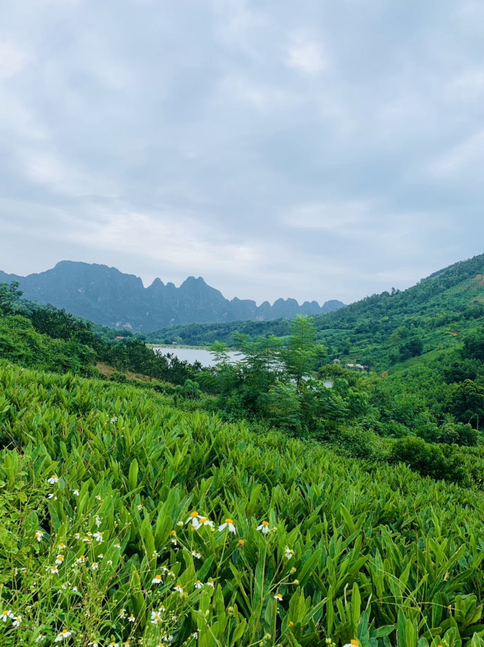 Bán mảnh đất siêu hiếm tại Liên Sơn - Lương Sơn - Hòa Bình, giáp ranh Hà Nội 12360037