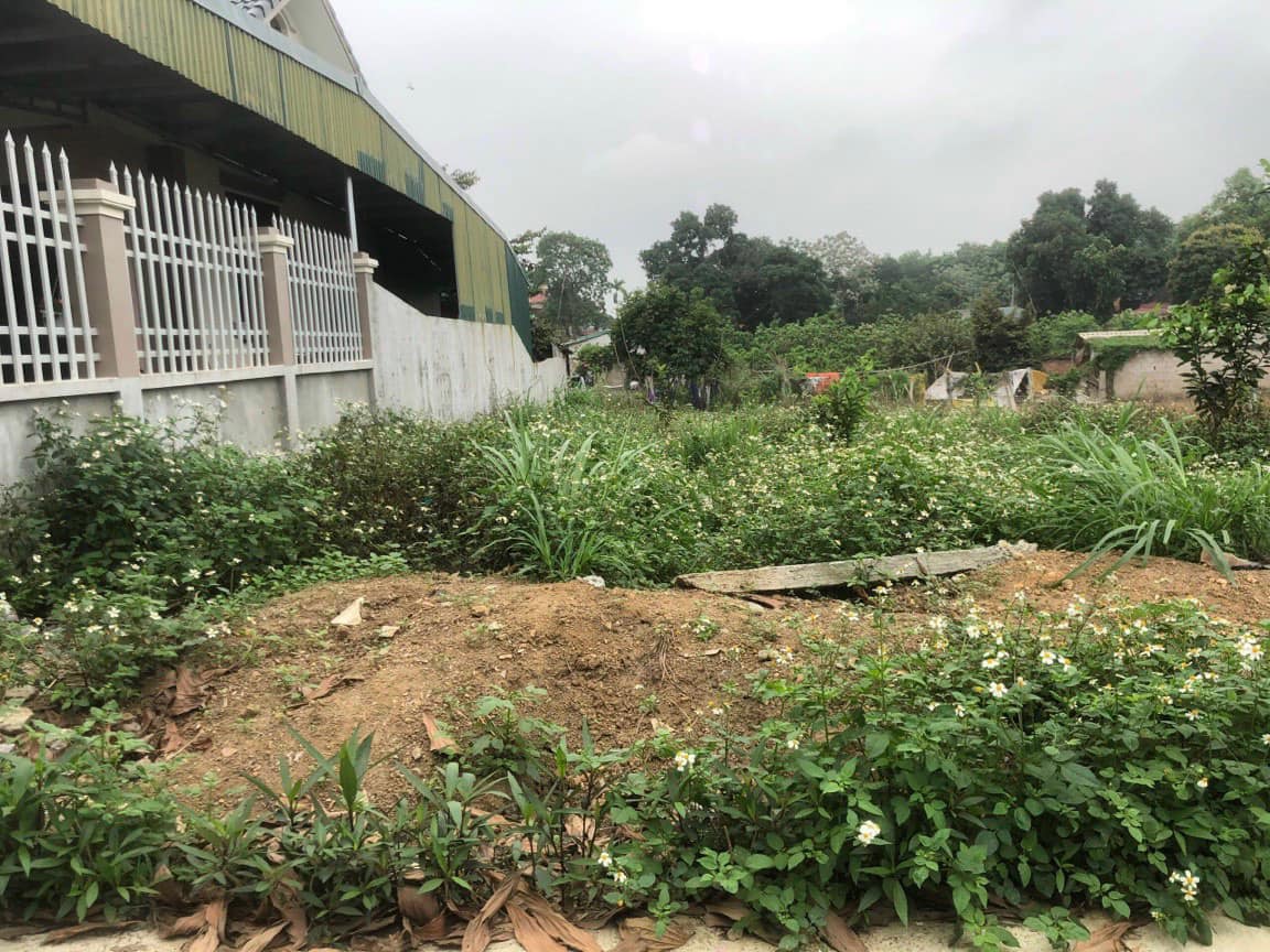 Bán đất tại thôn Kim Đái 2- Kim Sơn- Sơn Tây 12367423