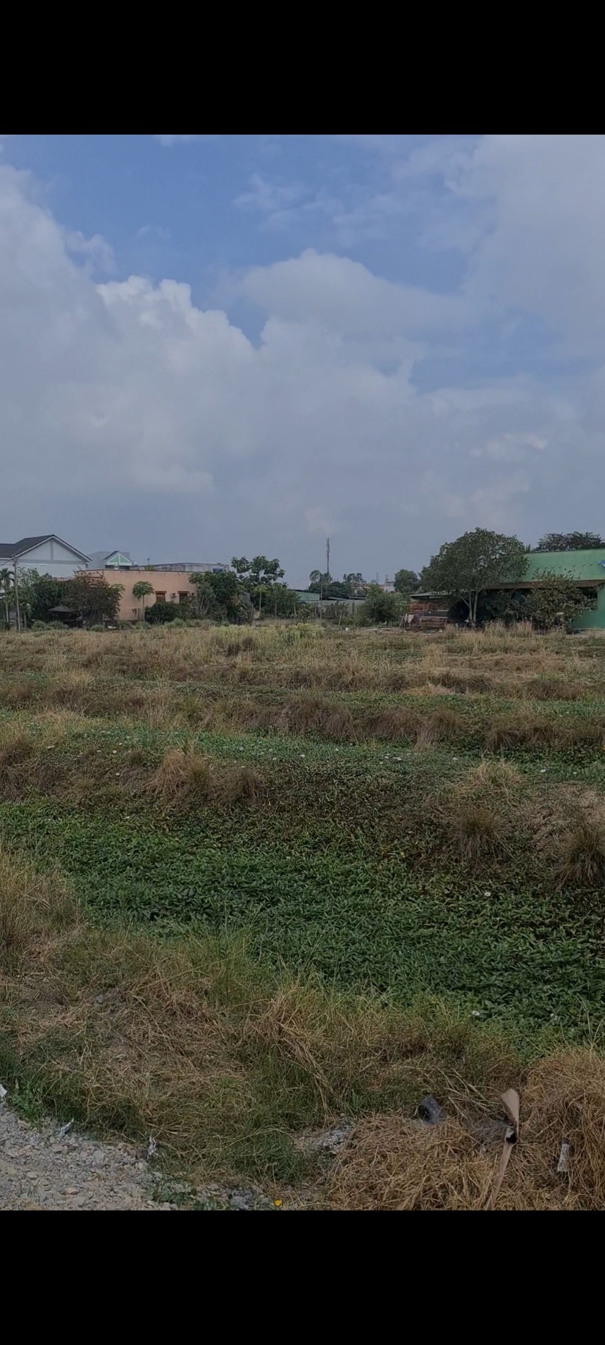 Chính chủ cần bán nhanh lô đất 3000m2 tại Huỳnh Văn Trí , Bình Chánh , Giá đầu tư 12375066