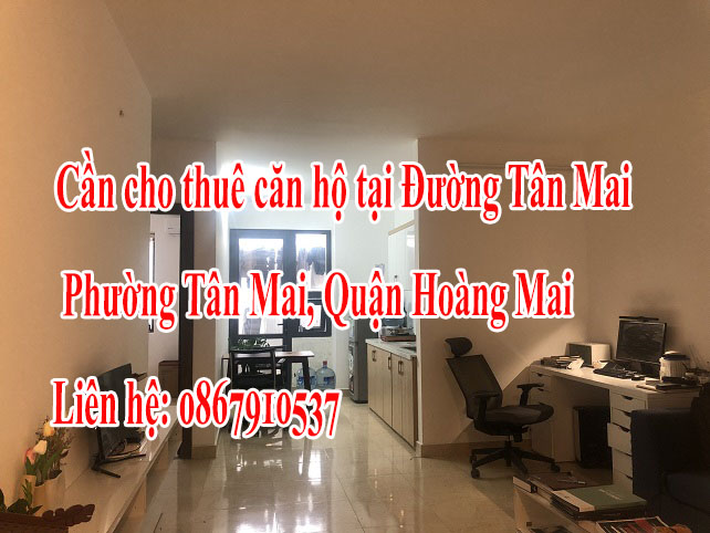 Chính chủ cần cho thuê căn hộ ( tầng 10)  tại Đường Tân Mai, Phường Tân Mai, Quận Hoàng Mai, Hà Nội. 12384352