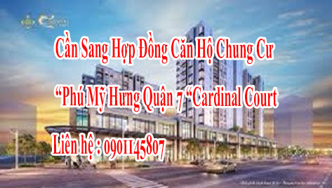 Chính Chủ Cần Sang Hợp Đồng Căn Hộ Chung Cư Phú Mỹ Hưng Quận 7 Cardinal Court 12393014