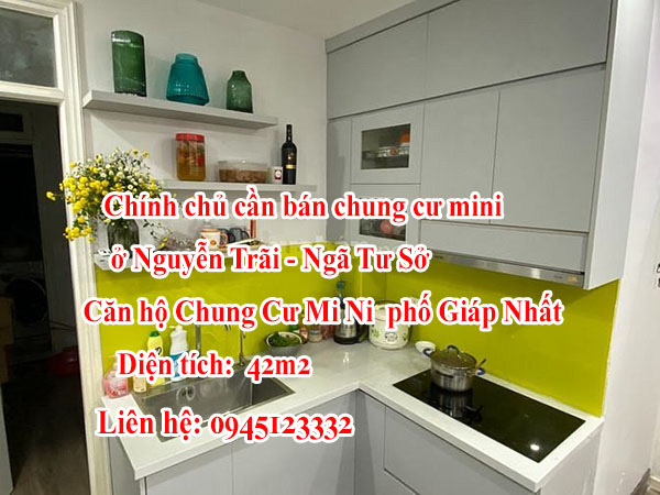 Chính chủ cần bán chung cư mini ở Nguyễn Trãi - Ngã Tư Sở 12407757