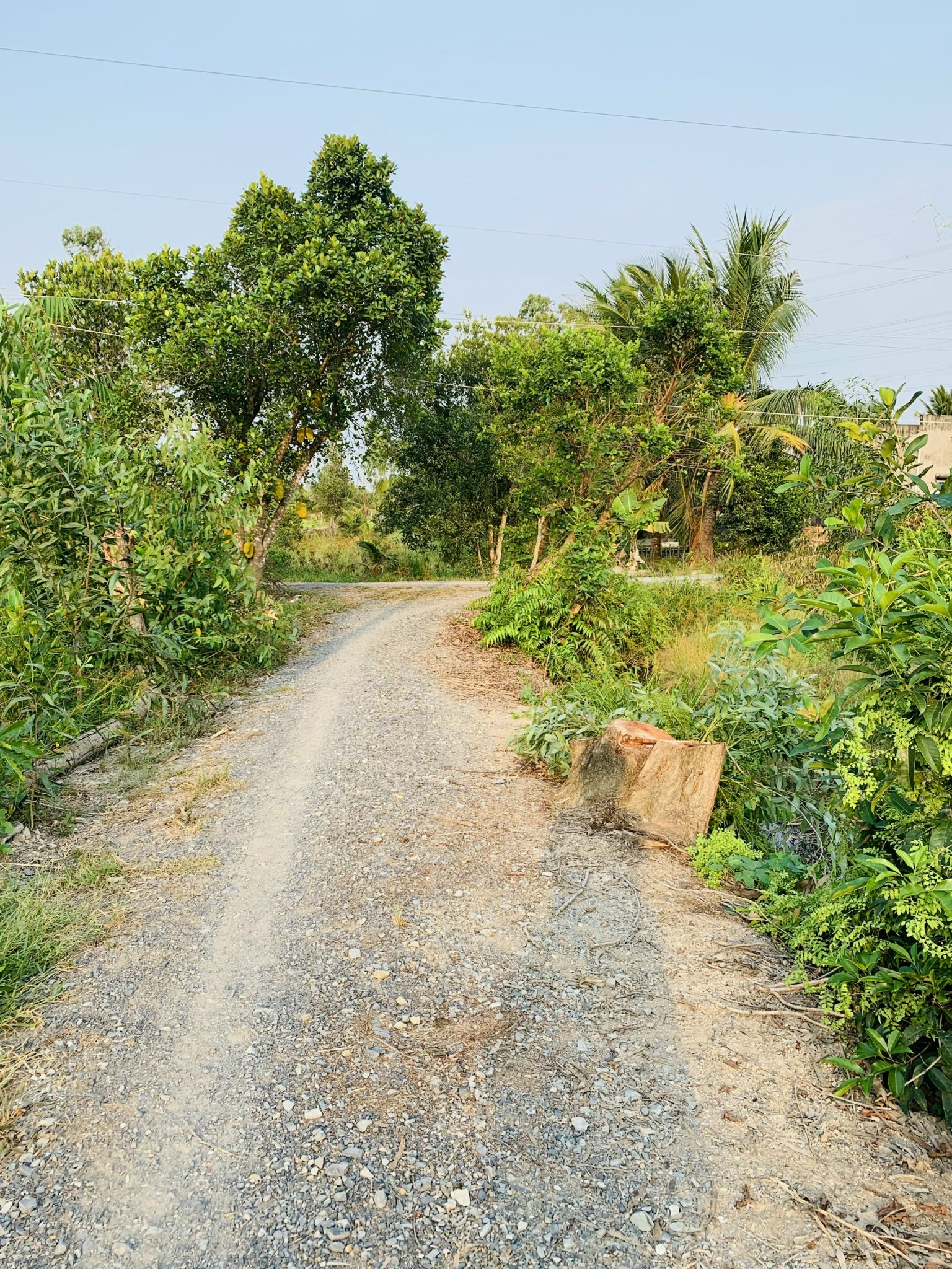 120m2 thổ cư đức hòa long an hựu thạnh công chứng gấp từ 700tr hạ gấp 560tr chốt 12418801