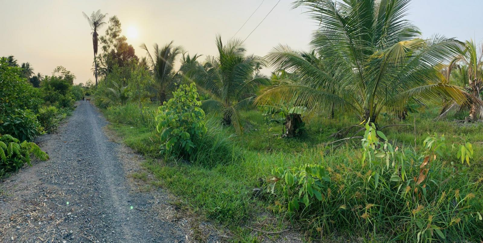 120m2 thổ cư đức hòa long an hựu thạnh công chứng gấp từ 700tr hạ gấp 560tr chốt 12418801