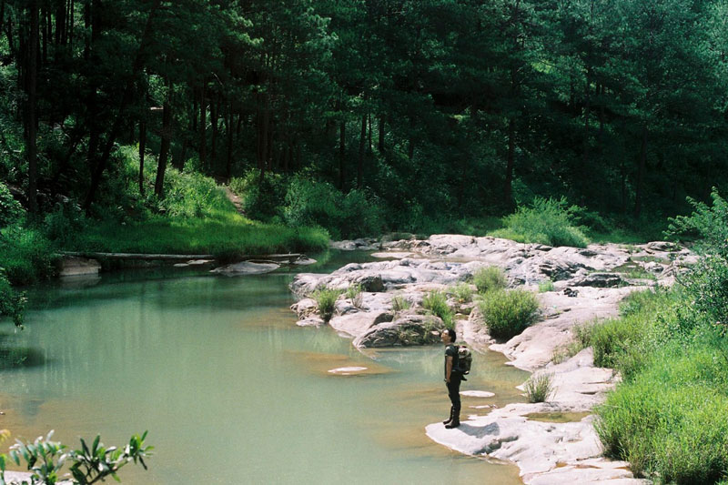 bđs du lịch dã ngoại lũng chuối b'lá 12426550