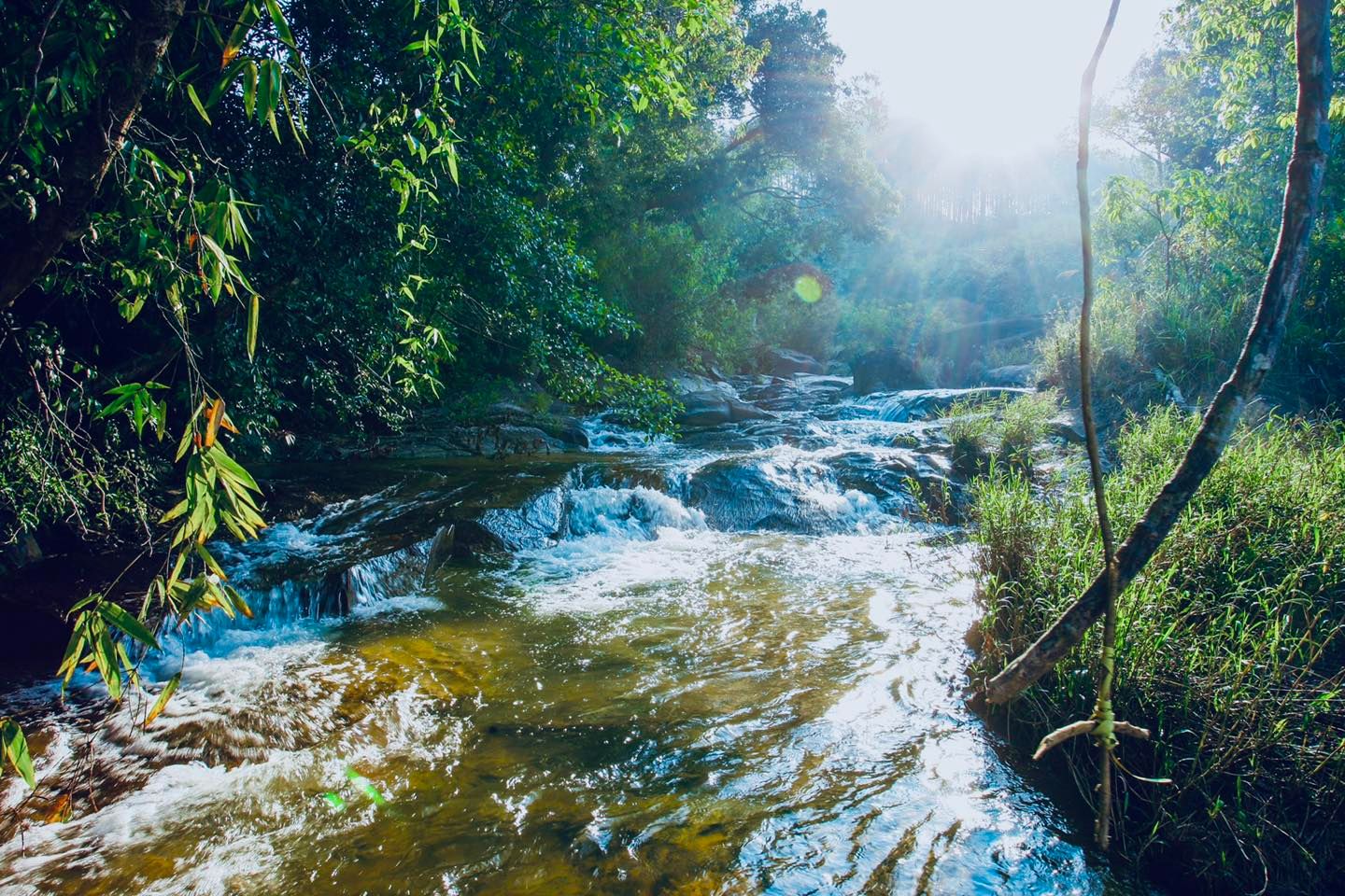 bđs du lịch dã ngoại lũng chuối b'lá 12426550