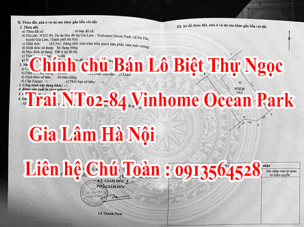 Chính chủ Bán CẮT LỖ  Lô Biệt Thự Ngọc Trai , NT02-84 Vinhome Ocean Park Gia Lâm Hà Nội. 12427907
