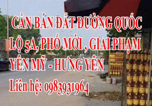 CHÍNH CHỦ CẦN BÁN ĐẤT ĐƯỜNG QUỐC LỘ 5A, PHỐ MỚI , GIAI PHẠM, YÊN MỸ, HƯNG YÊN 12448373