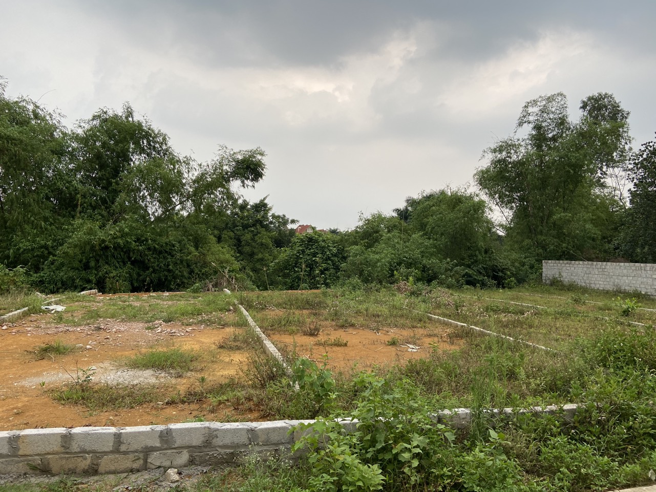 Bán 72m2 đất full thổ cư trục chính thôn Linh Sơn, Bình Yên 12468419